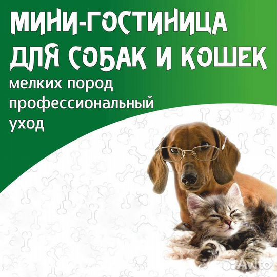 Гостиница для животных