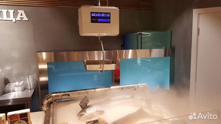 Аквариум для торговли живой рыбой