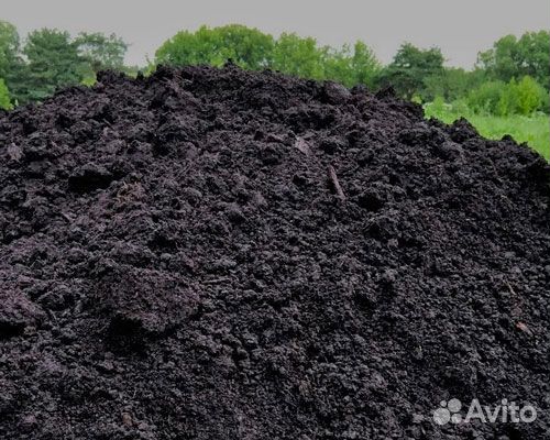 Торф низинный. Торф нейтральный