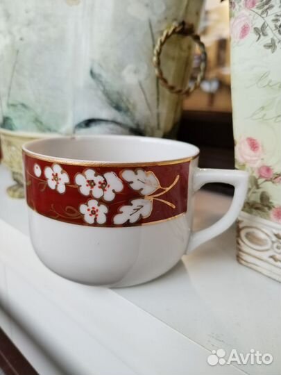 Чашка с блюдцем, Полонне, 1950-е