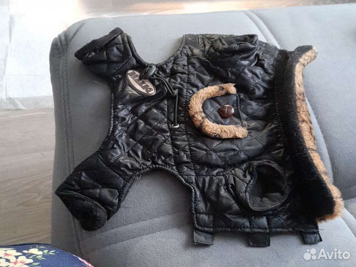 Одежда для маленьких собак