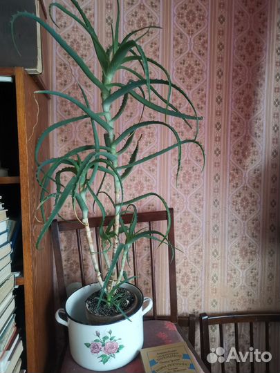 Старые вещи из СССР