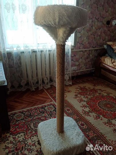 Когтеточка