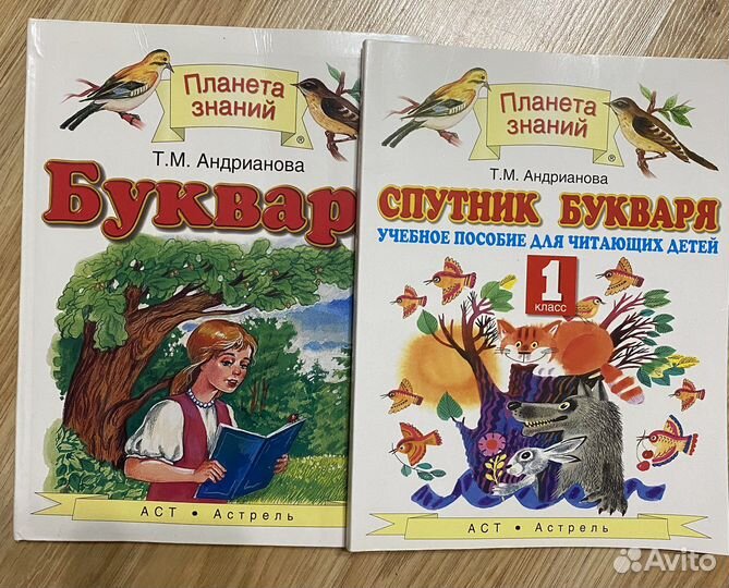Букварь и Спутник Букваря Андрианова