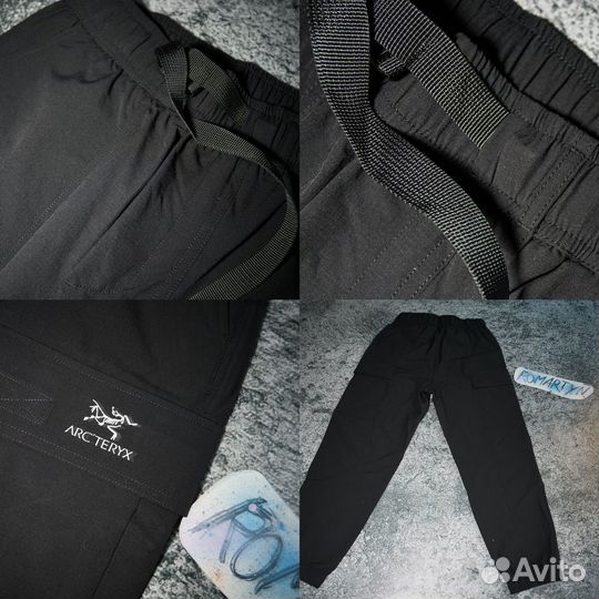 Arcteryx Спортивные Штаны Брюки