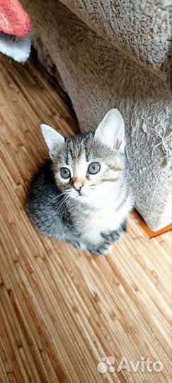 Милые бусинки