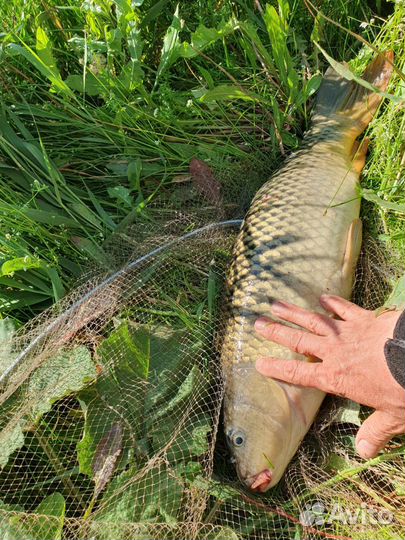 Продам готовый бизнес база отдыха