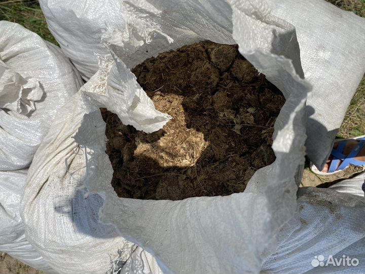 Продажа конского навоза