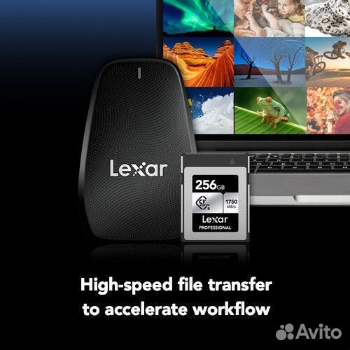 Карта памяти Lexar 256Gb Cfexpress Type B 1300/175