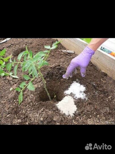 Конский навоз мешках