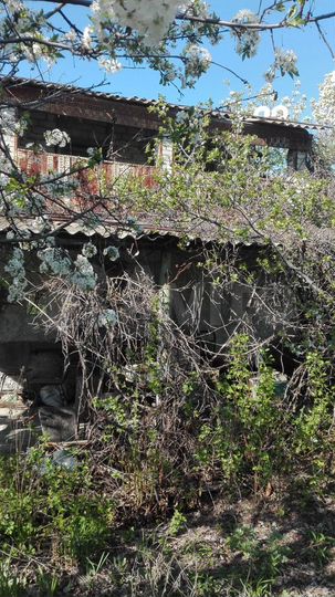 Дача 50 м² на участке 6 сот.