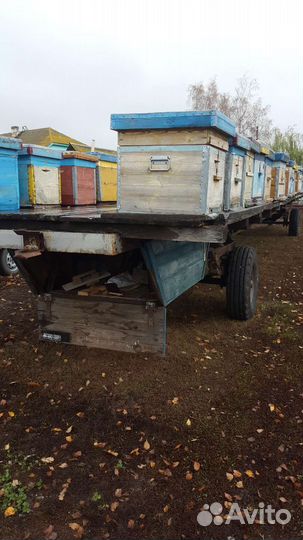 Прицеп для пчел