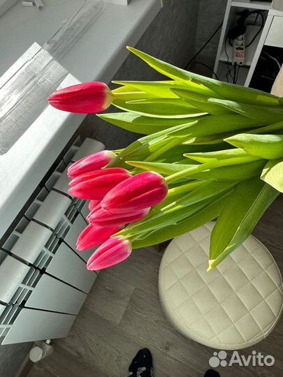 Тюльпаны с доставкой