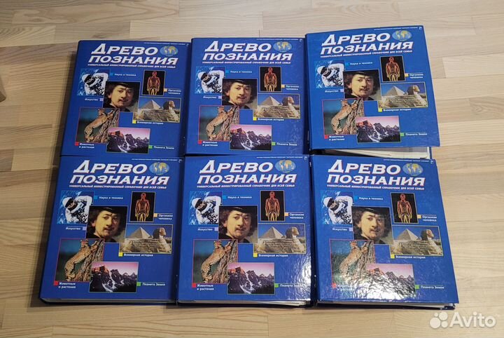 Древо познания 6шт