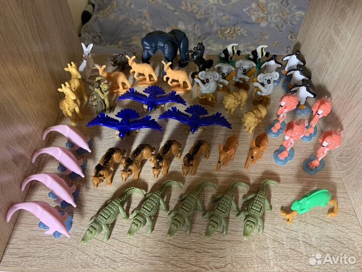 Киндер натунс/kinder natoons 2022