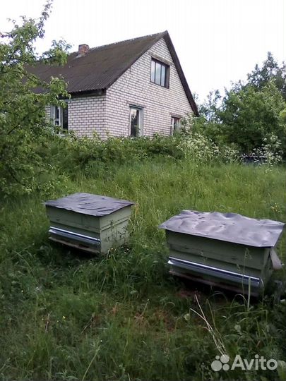 Другие животные