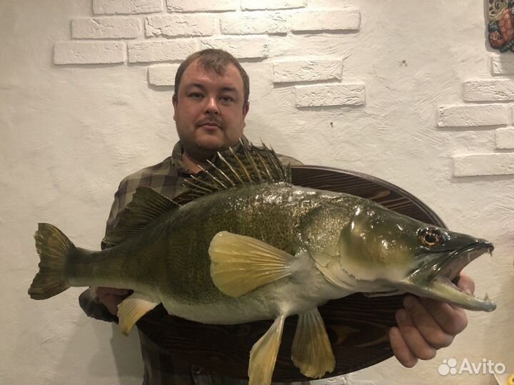 Чучела рыб подарок рыбаку