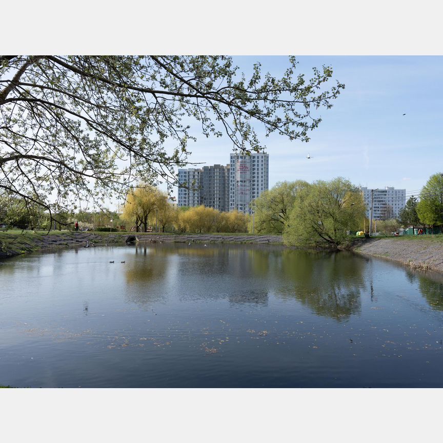 2-к. квартира, 43,6 м², 5/17 эт.