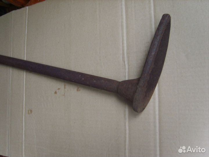 Лапа сапожная