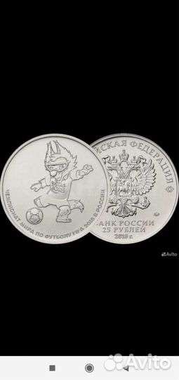 25р забивака