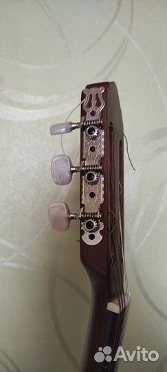 Акустическая гитара Prima