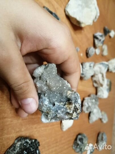 Окаменелости, красивые камни, кварц