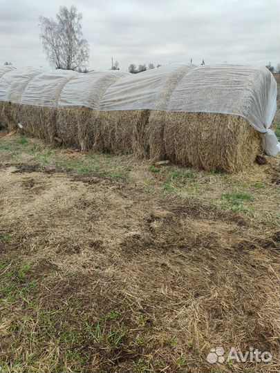 Сено солома в рулонах