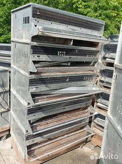 Клетки для перепелов бу