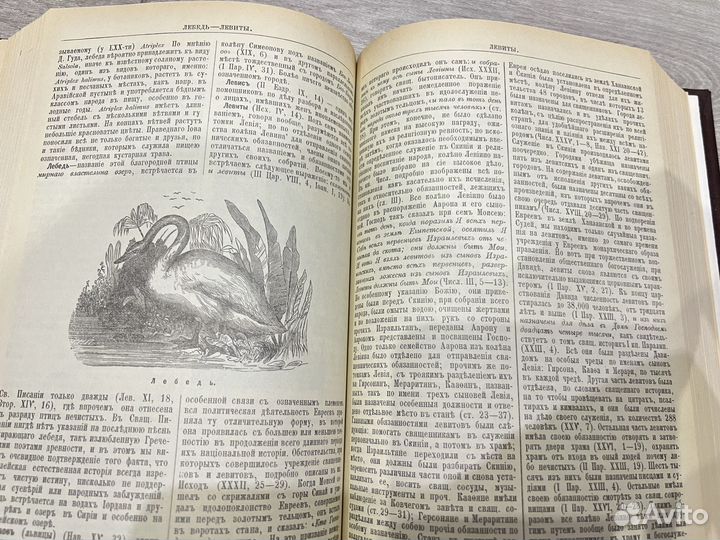 Библейская Энциклопедия