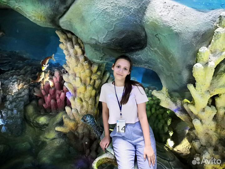 Репетитор по английскому языку (онлайн)