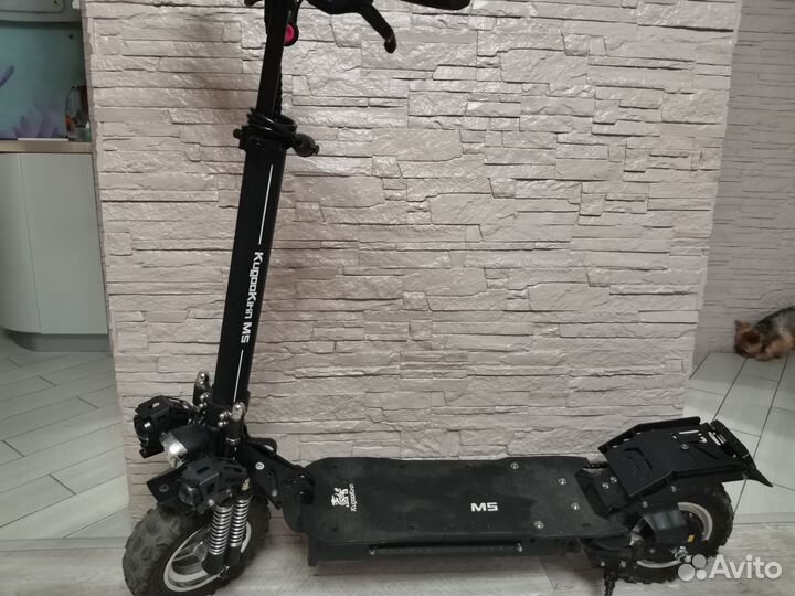 Электросамокат kugoo kirin m5