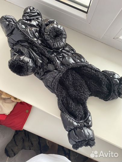 Одежда для собак