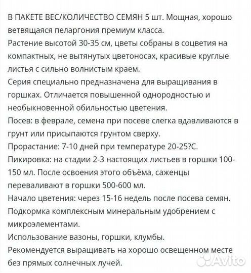 Герань пеларгония