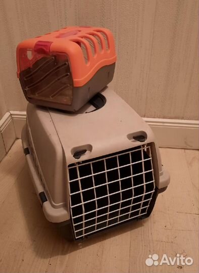 Домик, когтеточка,переноска, лежак,миски, туалеты