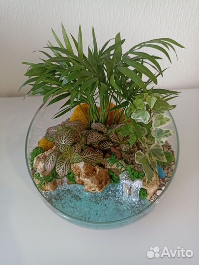 Флорариум с тропическими влаголюбивыми растениями