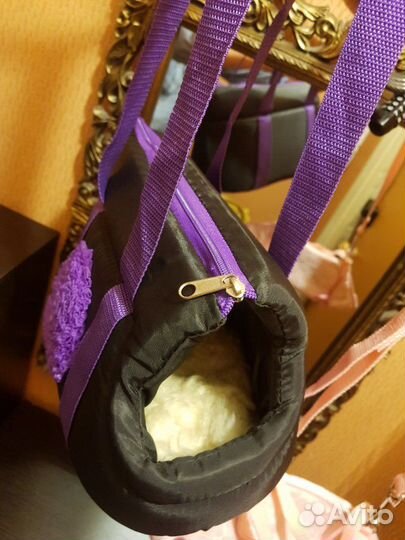 Комплект Разных Вещей для Вашего питомца