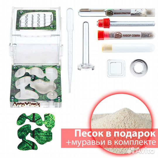 Муравьиная ферма с муравьями в комплекте