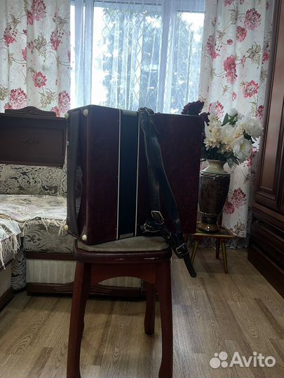 Аккордеон Восток