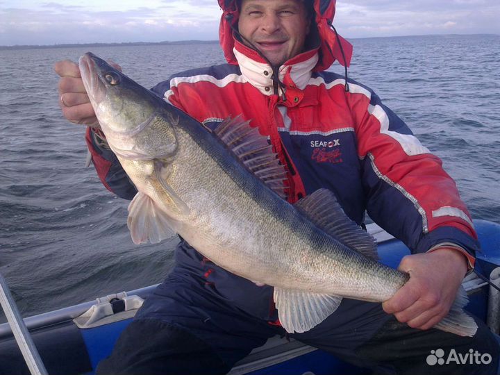 Рыбалка треска,судак,лосось