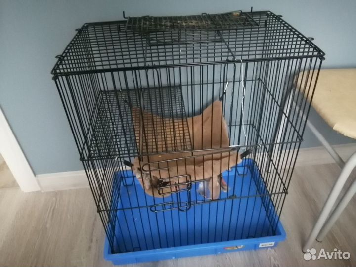 Клетка для грызунов