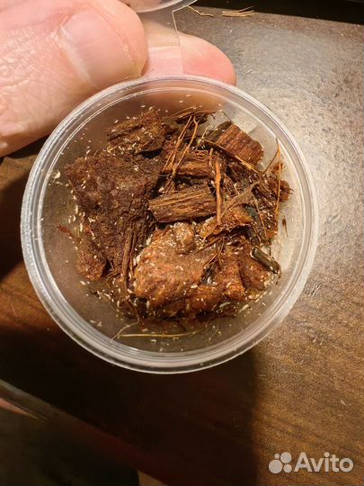 Санитары для флорариума и грунта