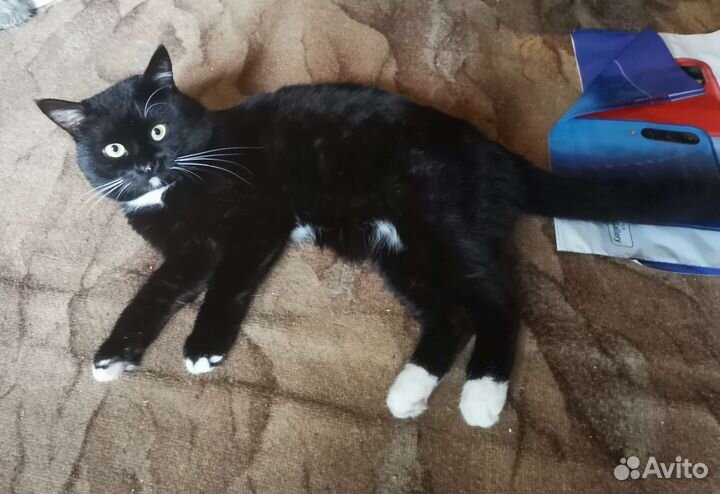 Котик для вязки