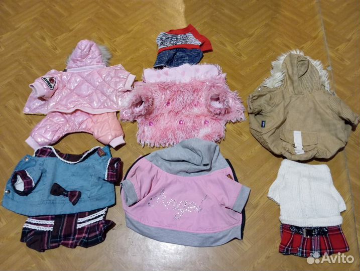 Одежда для маленьких собак