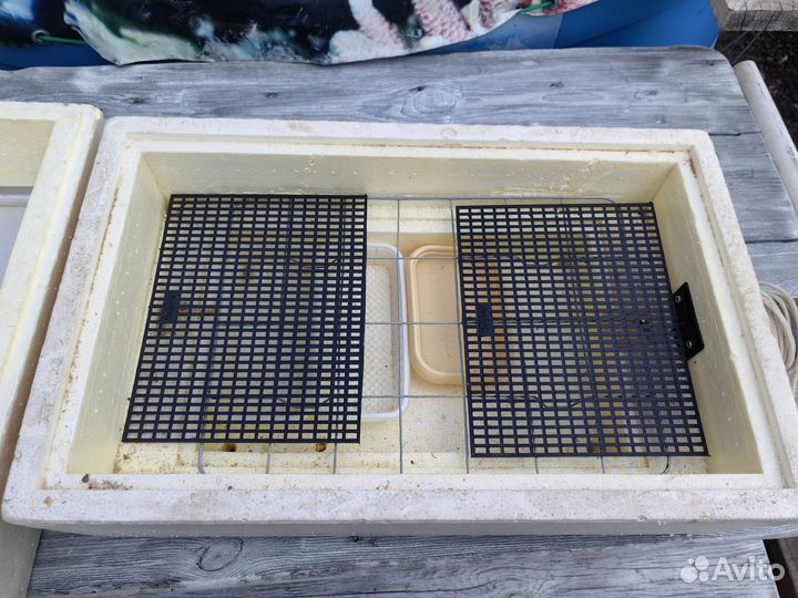 Инкубатор для яиц бу 