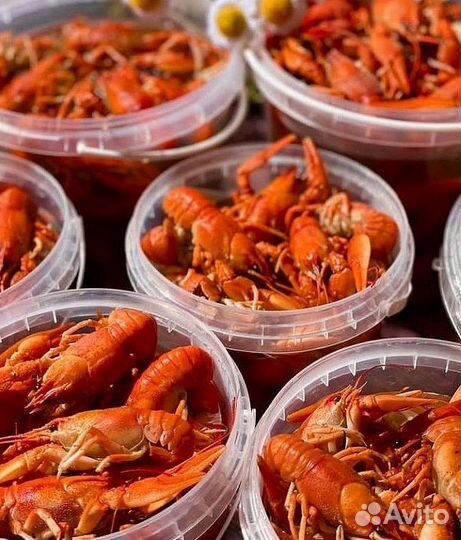 Готовые раки