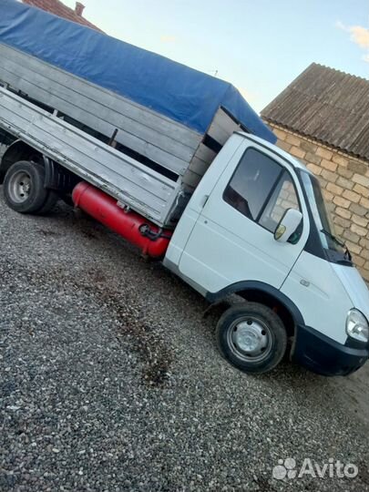 Корова стельная дойная