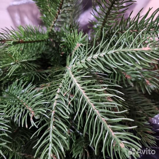 Ель искуственная литая 240см