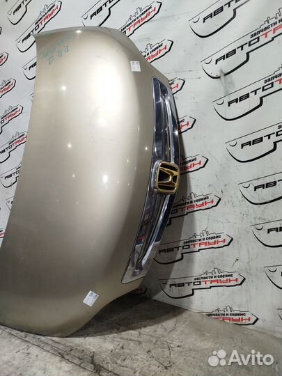 Капот honda elysion RR1 RR2 RR3 RR4 60100SJK000ZZ 1 модель бежевый, YR538MM QA5075