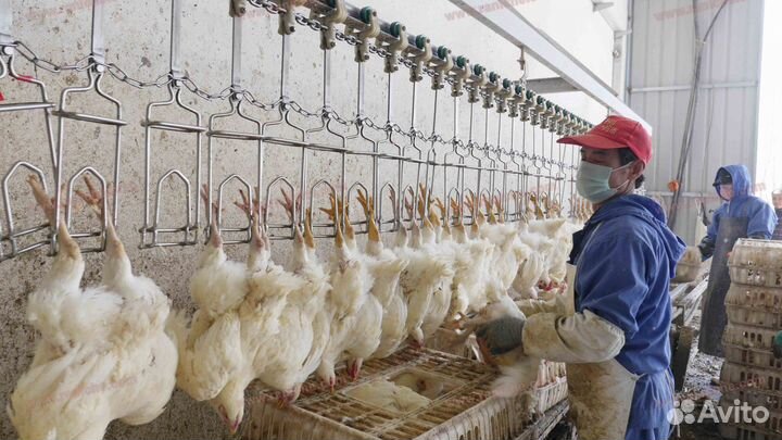 Грузчик на птицефабрику