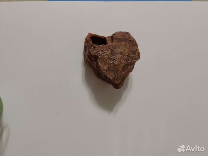 Влажная камера для рептилий